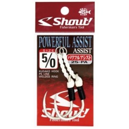 SHOUT POWERFUL ASSIST