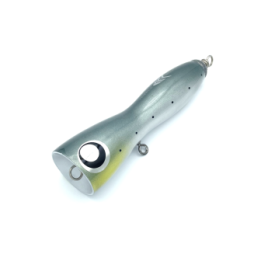 TEMPLE REEF BALLISTA TUNA