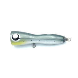 TEMPLE REEF BALLISTA TUNA