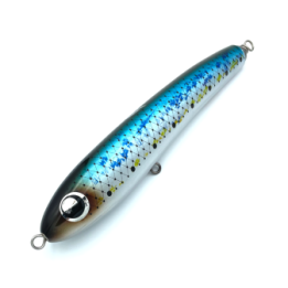 TEMPLE REEF SLITHER (F)