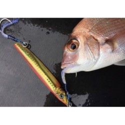 SUTEKI THE HUNTER'S Sawara Sagoshi short (KD-283)