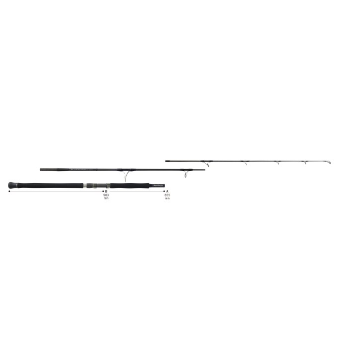RIPPLE FISHER Aquila