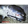 DECOY JIGGING SINGLE CUTLASS JS-2