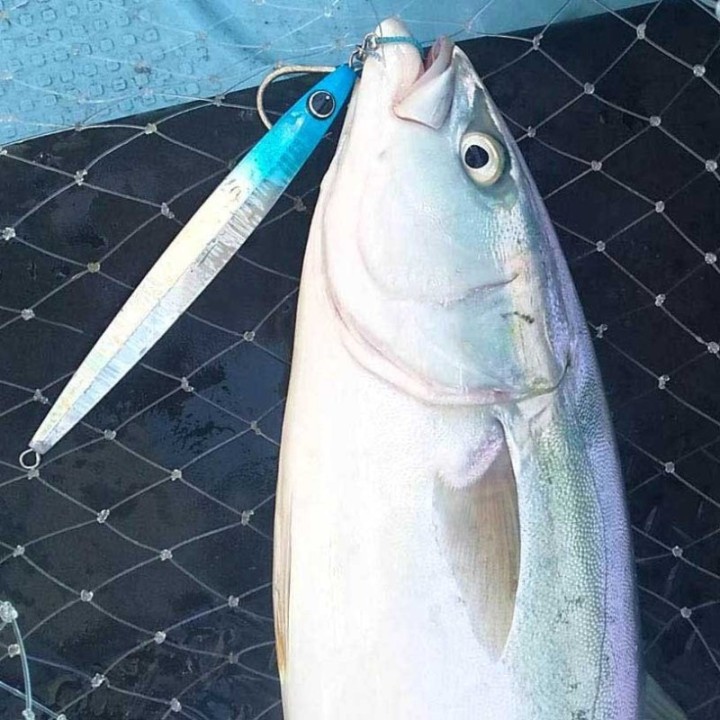 HOT`S NS JIG SEMI LONG