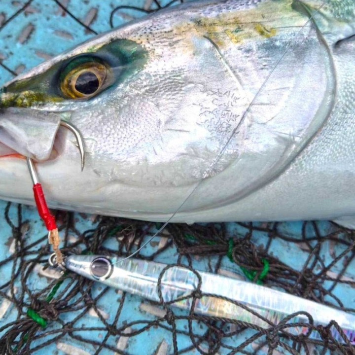 HOT`S NS JIG SEMI LONG