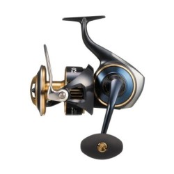 DAIWA 25 SALTIGA