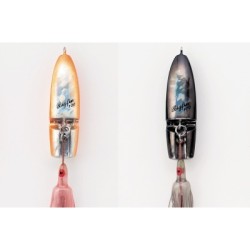 HOT`S BIGFIN