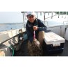 HOT`S BIGFIN