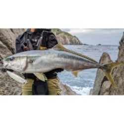 GOOD BAIT FZR188F