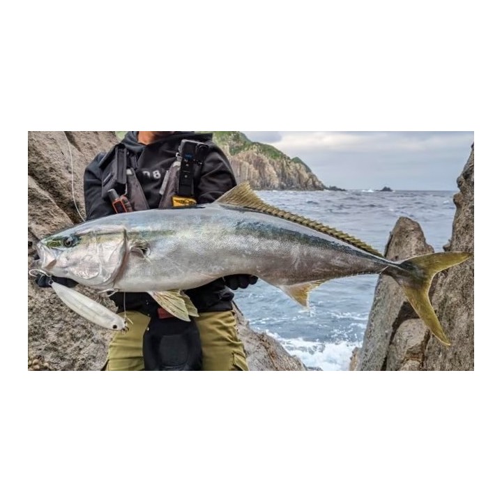GOOD BAIT FZR188F