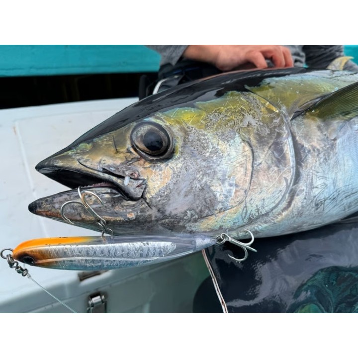GOOD BAIT NUMBER SIX 198F