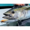 GOOD BAIT NUMBER SIX 198F