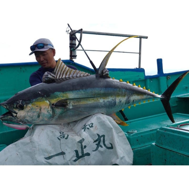 GOOD BAIT NUMBER SIX 198F