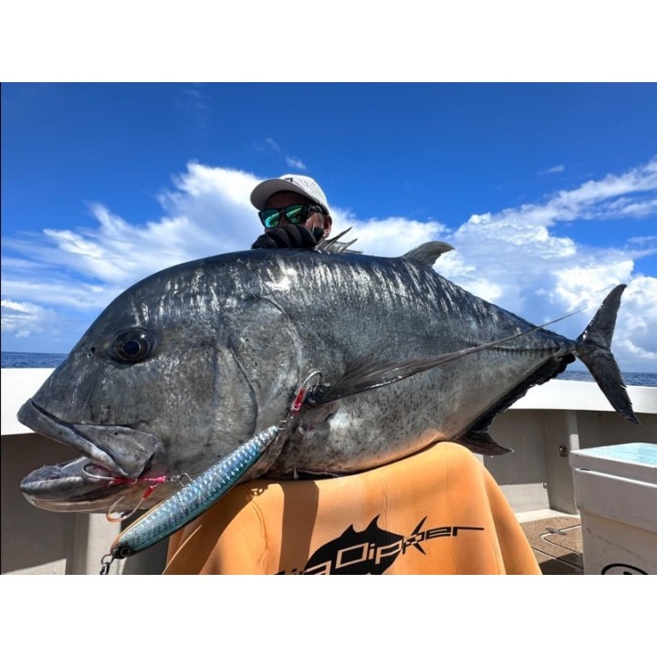 GOOD BAIT MONSTER ZONE 210F