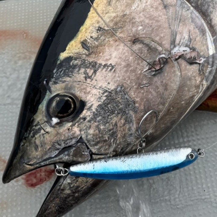 GOOD BAIT MONSTER MAGURO 210F