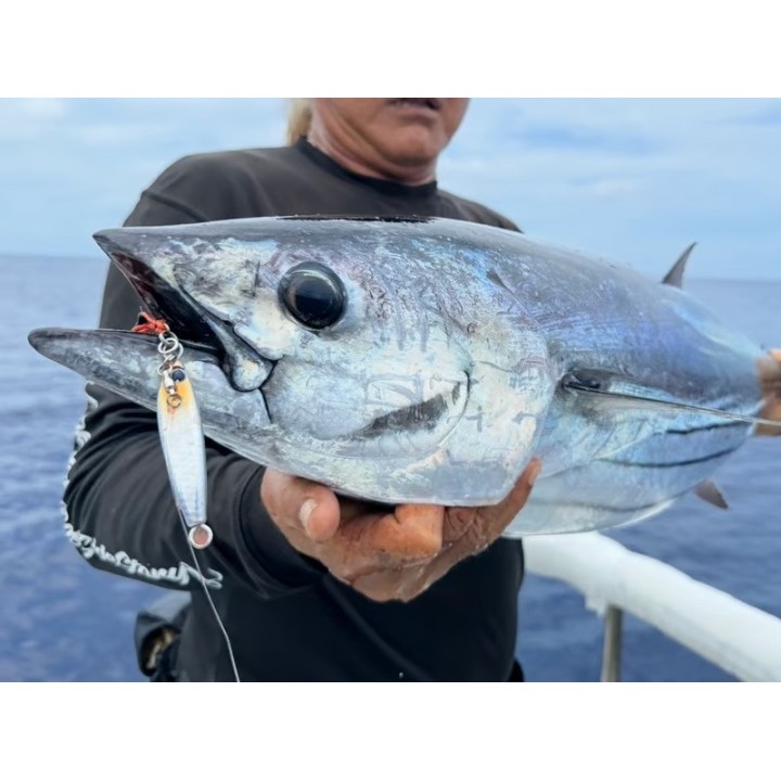 GOOD BAIT C50