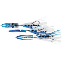 HOT`S BIGFIN