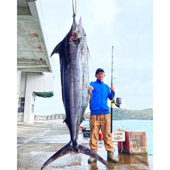 HOT`S KANSUKE STANDING MARLIN ROD