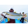 HOT`S KEITAN JIG