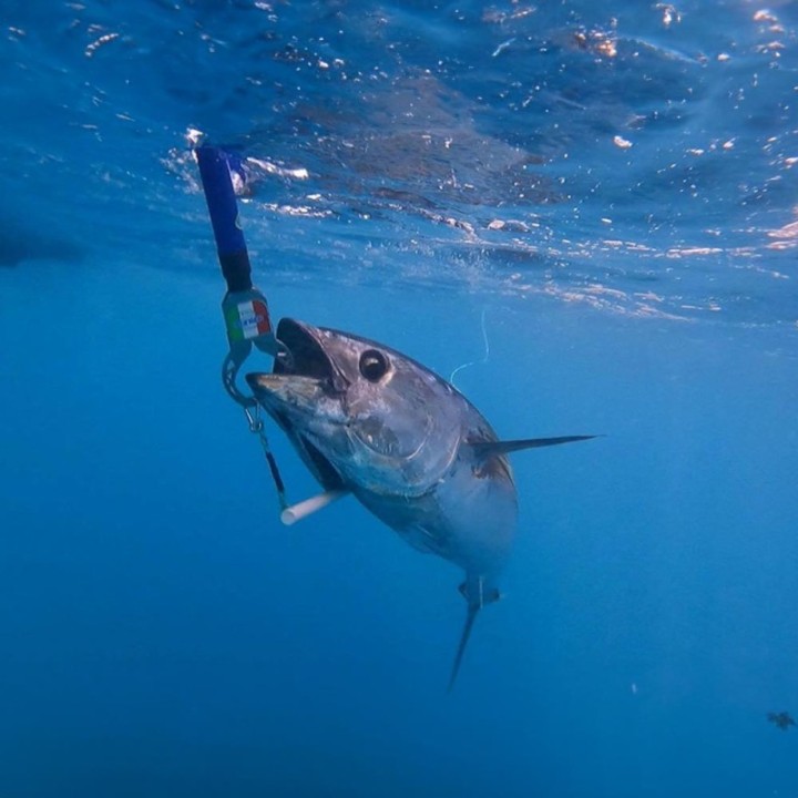 PRATIKO BOGA GRIP TUNA LARGE