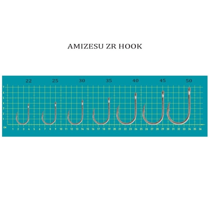 AMIZESU ZR HOOK
