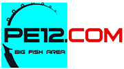 PE12 | Tienda de Pesca Deportiva de Mar: Jigging y Spinning logo