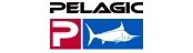 PELAGIC
